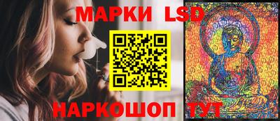стафф Будённовск