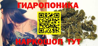 стафф Будённовск