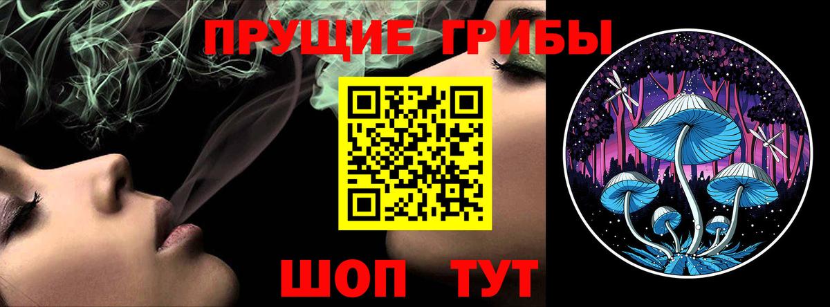 Бошки Шишки Саратов